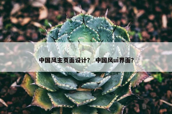 中国风主页面设计？ 中国风ui界面？-第1张图片-冷动云