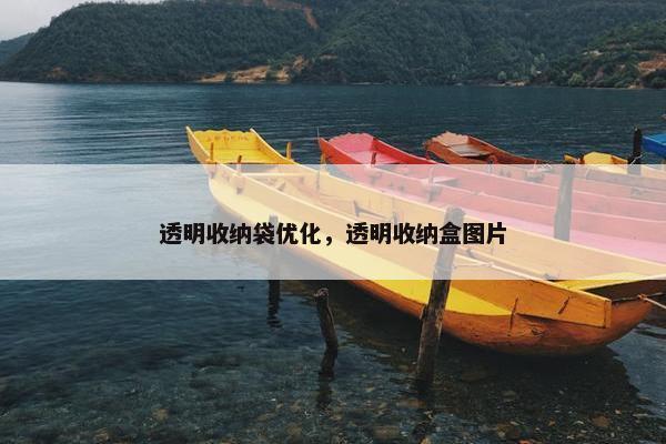 透明收纳袋优化，透明收纳盒图片-第1张图片-冷动云
