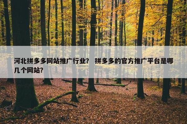 河北拼多多网站推广行业？ 拼多多的官方推广平台是哪几个网站？-第1张图片-冷动云
