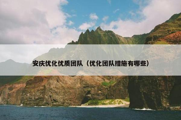 安庆优化优质团队（优化团队措施有哪些）-第1张图片-冷动云