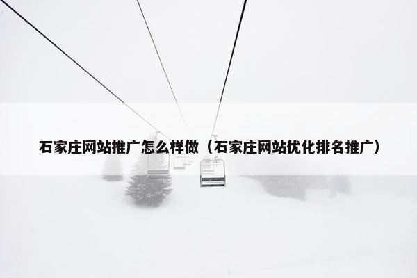 石家庄网站推广怎么样做（石家庄网站优化排名推广）-第1张图片-冷动云