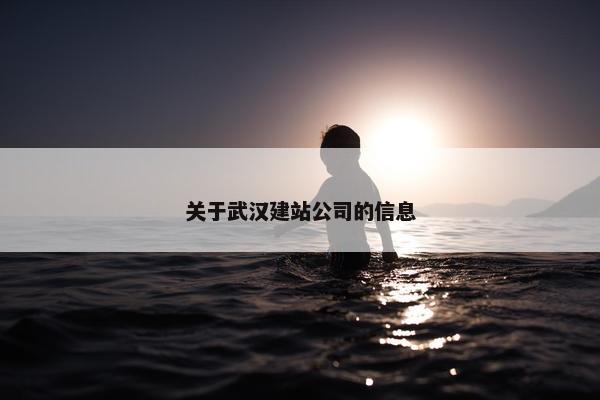 关于武汉建站公司的信息-第1张图片-冷动云