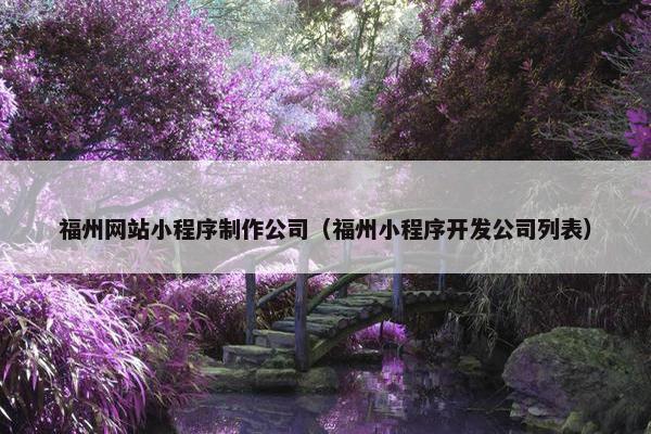 福州网站小程序制作公司（福州小程序开发公司列表）-第1张图片-冷动云