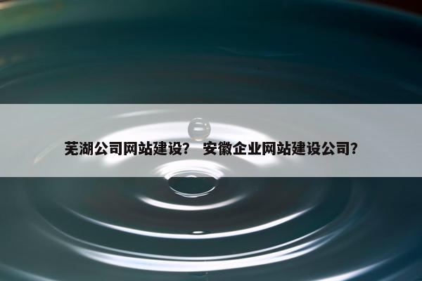 芜湖公司网站建设？ 安徽企业网站建设公司？-第1张图片-冷动云