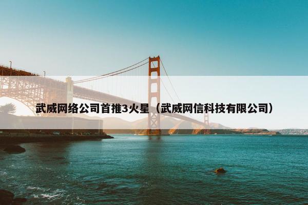 武威网络公司首推3火星（武威网信科技有限公司）-第1张图片-冷动云