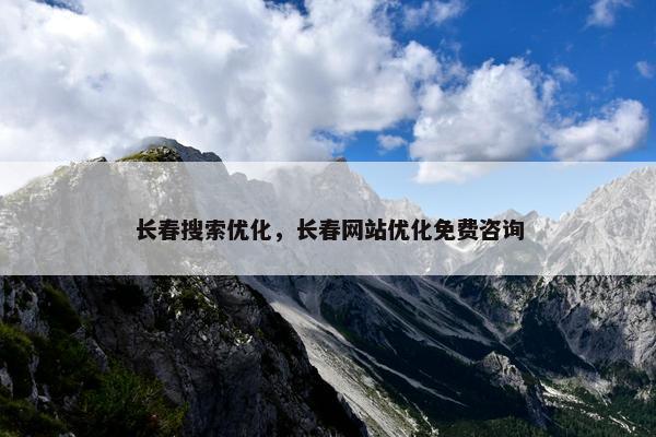 长春搜索优化，长春网站优化免费咨询-第1张图片-冷动云