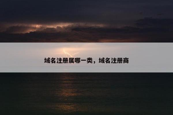 域名注册属哪一类，域名注册商-第1张图片-冷动云