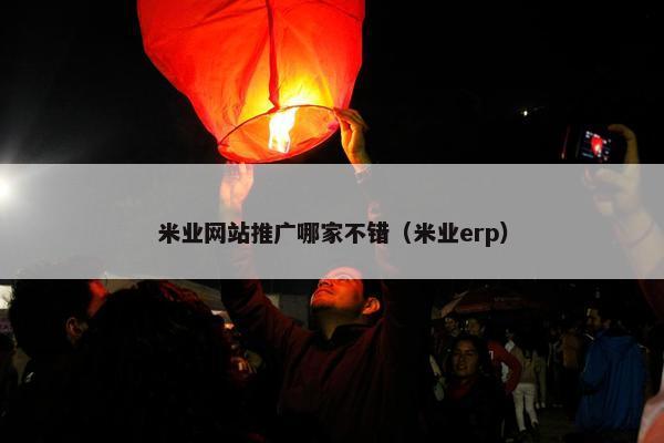 米业网站推广哪家不错（米业erp）-第1张图片-冷动云