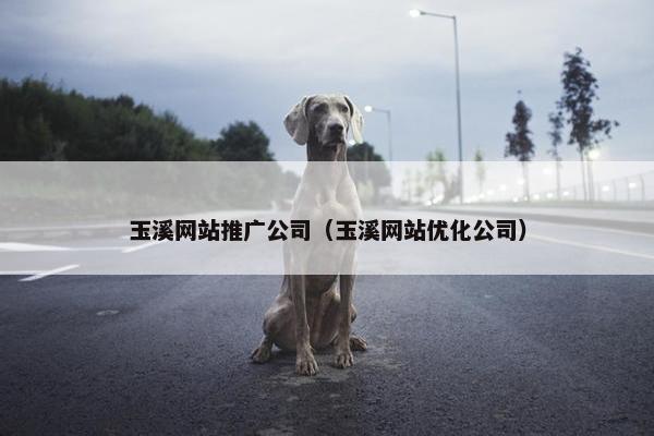 玉溪网站推广公司（玉溪网站优化公司）-第1张图片-冷动云