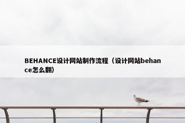 BEHANCE设计网站制作流程（设计网站behance怎么翻）-第1张图片-冷动云