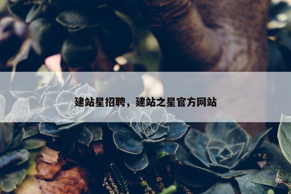 建站星招聘，建站之星官方网站-第1张图片-冷动云