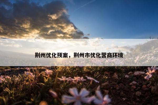 荆州优化预案，荆州市优化营商环境-第1张图片-冷动云