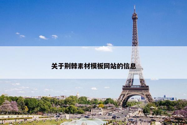 关于荆棘素材模板网站的信息-第1张图片-冷动云