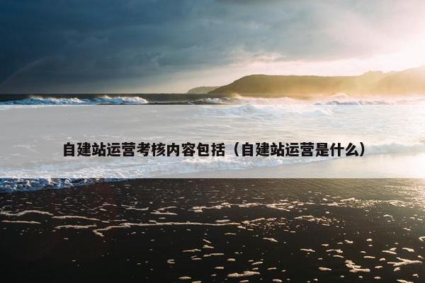 自建站运营考核内容包括（自建站运营是什么）-第1张图片-冷动云
