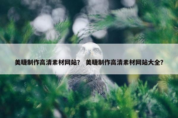 美睫制作高清素材网站？ 美睫制作高清素材网站大全？-第1张图片-冷动云