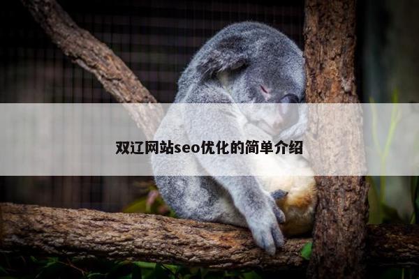 双辽网站seo优化的简单介绍-第1张图片-冷动云