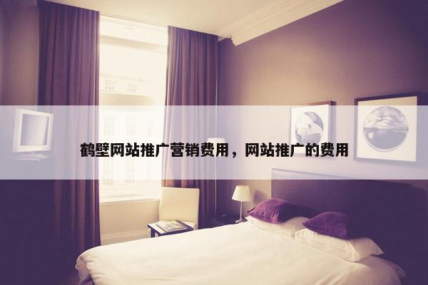 鹤壁网站推广营销费用，网站推广的费用-第1张图片-冷动云