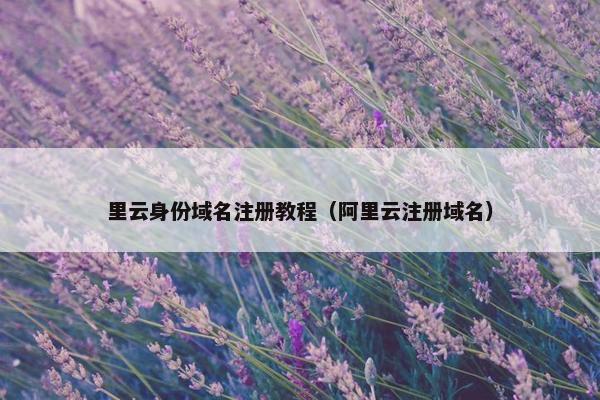 里云身份域名注册教程（阿里云注册域名）-第1张图片-冷动云