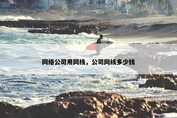 网络公司用网线，公司网线多少钱-第1张图片-冷动云