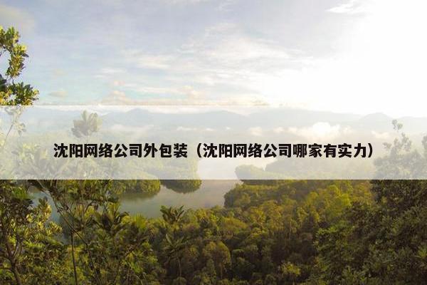 沈阳网络公司外包装（沈阳网络公司哪家有实力）-第1张图片-冷动云