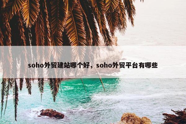 soho外贸建站哪个好，soho外贸平台有哪些-第1张图片-冷动云