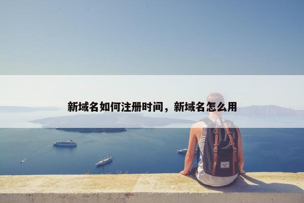 新域名如何注册时间，新域名怎么用-第1张图片-冷动云