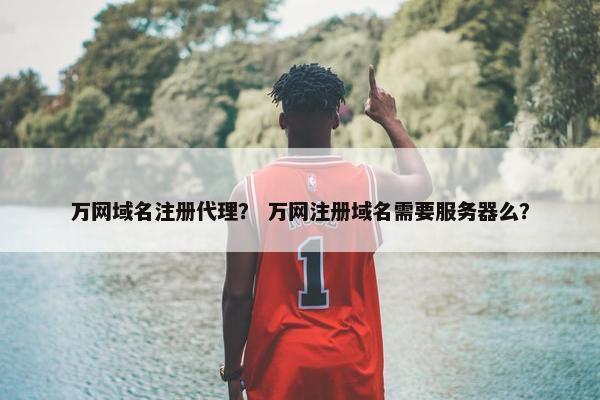 万网域名注册代理？ 万网注册域名需要服务器么？-第1张图片-冷动云