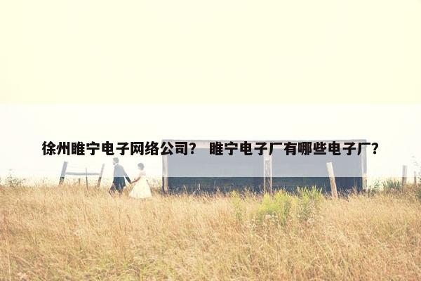 徐州睢宁电子网络公司？ 睢宁电子厂有哪些电子厂？-第1张图片-冷动云