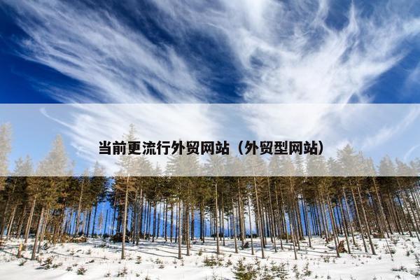 当前更流行外贸网站（外贸型网站）-第1张图片-冷动云
