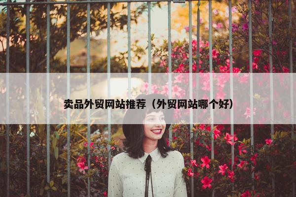 卖品外贸网站推荐（外贸网站哪个好）-第1张图片-冷动云