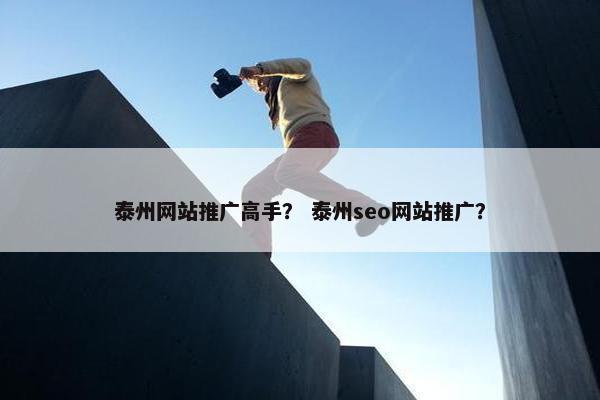 泰州网站推广高手？ 泰州seo网站推广？-第1张图片-冷动云