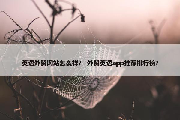 英语外贸网站怎么样？ 外贸英语app推荐排行榜？-第1张图片-冷动云