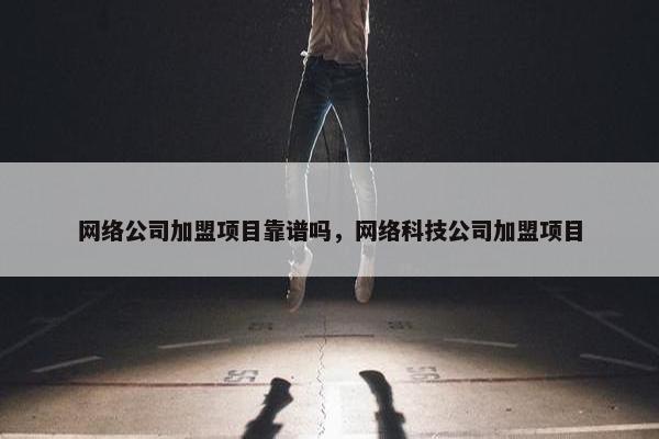 网络公司加盟项目靠谱吗，网络科技公司加盟项目-第1张图片-冷动云