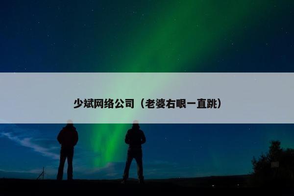 少斌网络公司（老婆右眼一直跳）-第1张图片-冷动云