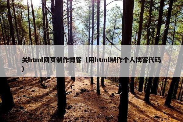 关html网页制作博客（用html制作个人博客代码）-第1张图片-冷动云