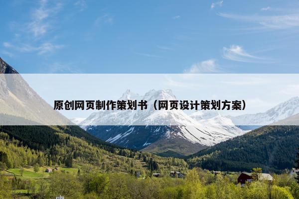 原创网页制作策划书（网页设计策划方案）-第1张图片-冷动云