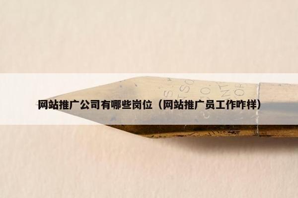 网站推广公司有哪些岗位（网站推广员工作咋样）-第1张图片-冷动云