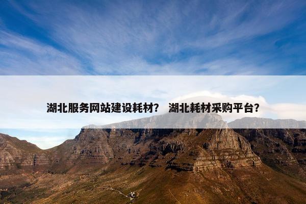 湖北服务网站建设耗材？ 湖北耗材采购平台？-第1张图片-冷动云