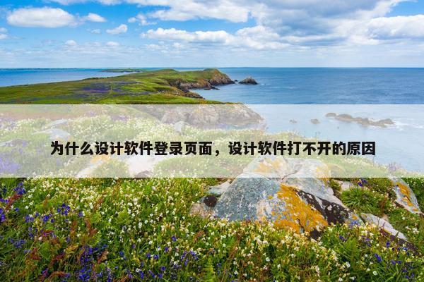 为什么设计软件登录页面，设计软件打不开的原因-第1张图片-冷动云