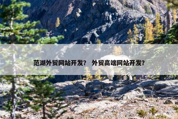范湖外贸网站开发？ 外贸高端网站开发？-第1张图片-冷动云