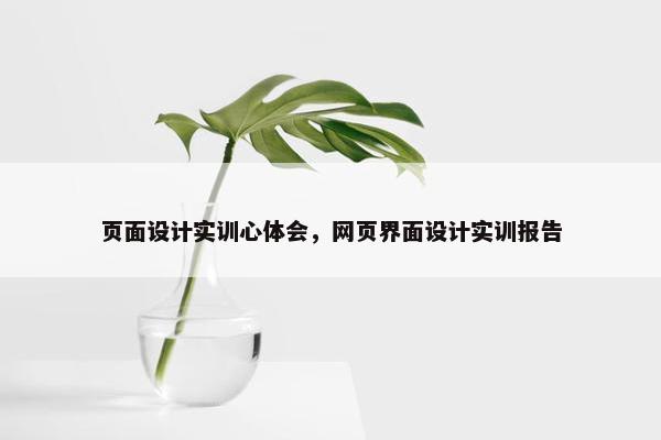 页面设计实训心体会，网页界面设计实训报告-第1张图片-冷动云