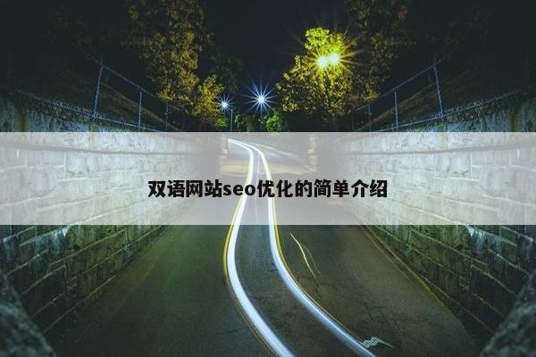 双语网站seo优化的简单介绍-第1张图片-冷动云