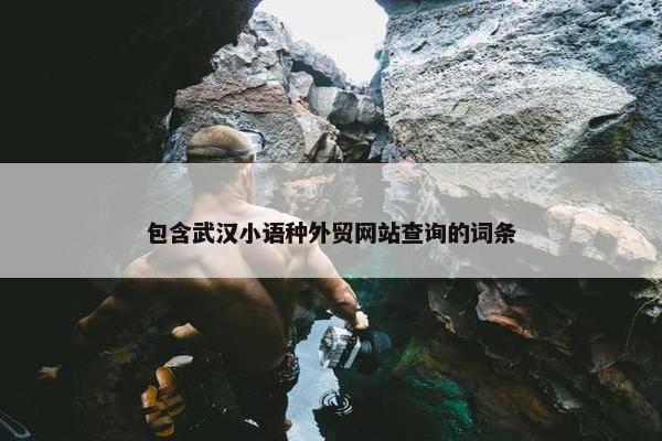 包含武汉小语种外贸网站查询的词条-第1张图片-冷动云