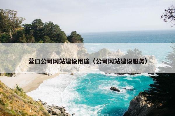 营口公司网站建设用途（公司网站建设服务）-第1张图片-冷动云