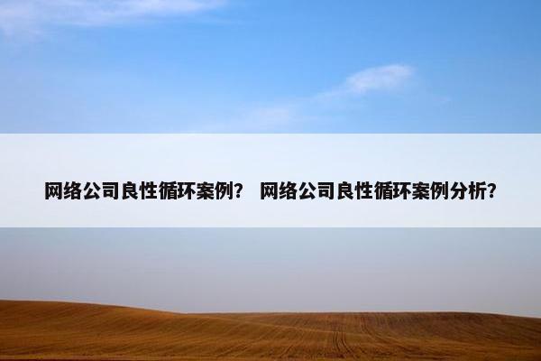 网络公司良性循环案例？ 网络公司良性循环案例分析？-第1张图片-冷动云