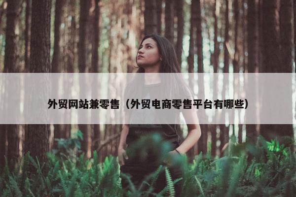 外贸网站兼零售（外贸电商零售平台有哪些）-第1张图片-冷动云