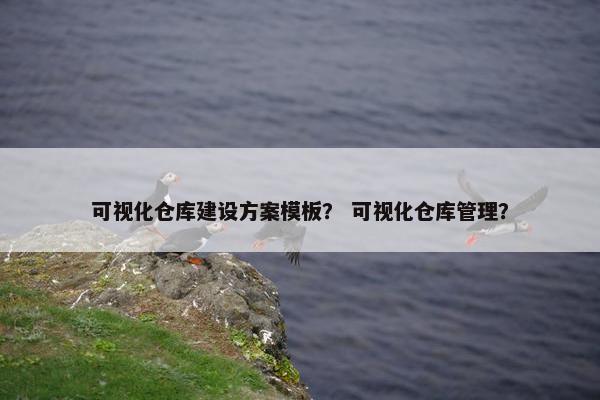 可视化仓库建设方案模板？ 可视化仓库管理？-第1张图片-冷动云