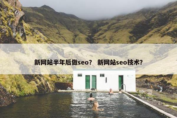 新网站半年后做seo？ 新网站seo技术？-第1张图片-冷动云