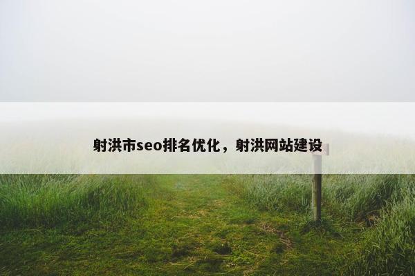 射洪市seo排名优化，射洪网站建设-第1张图片-冷动云