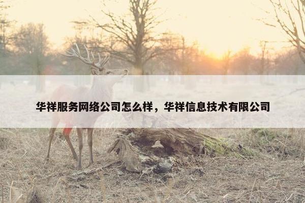 华祥服务网络公司怎么样，华祥信息技术有限公司-第1张图片-冷动云